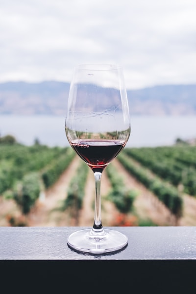 Sassicaia